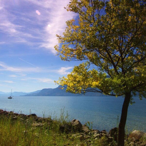 Kelowna Real Estate Beach Homes and Lots for Sale at McKinley Beach